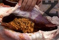 Осоляваме агнето, пълним го с приготвената плънка, зашиваме коремната кухина.