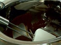 Para la cobertura, calienta la nata y, antes de que hierva, añade el chocolate. Retira la cacerola del fuego y deja que el chocolate se derrita. Cuando la mezcla se haya enfriado, sumerge en ella la parte superior de los éclairs rellenos. También puedes decorarlos con finos hilos de chocolate fundid