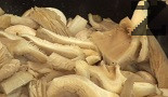 Запържваме лука и чесъна в олио и масло. След кратко задушаване, прехвърляме и гъбите. Поръсваме с 1-2 щипки сол, изчакваме на бавен огън гъбите да омекнат за 15-20 мин. под капак.