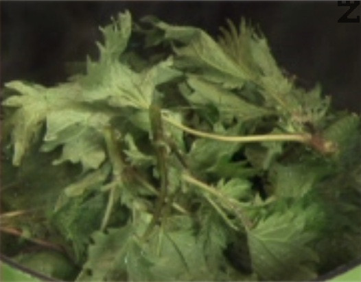 Poner las verduras en agua hirviendo con sal. Hervir durante 5 minutos y colar. Picar la cebolla y el ajo finamente y freír brevemente en grasa caliente. 